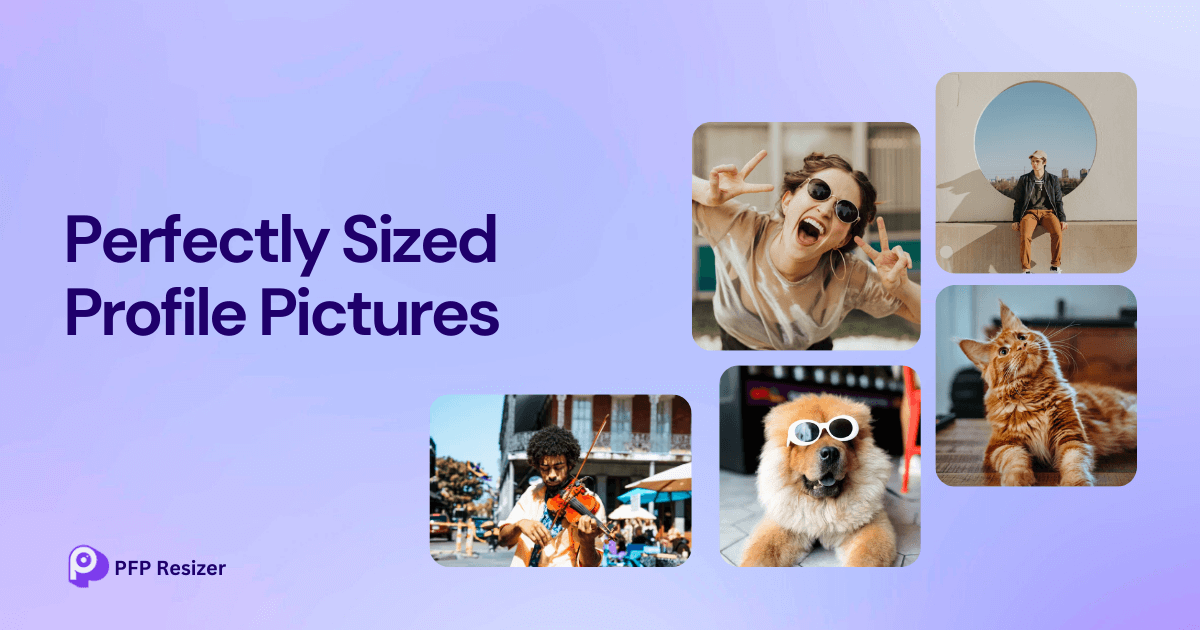 Pfpresizer screenshot 1